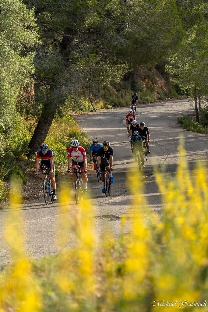 Le peloton BPC grimpe une route de Salou derrière les fleurs du printemps
